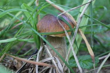 Similar image 835675