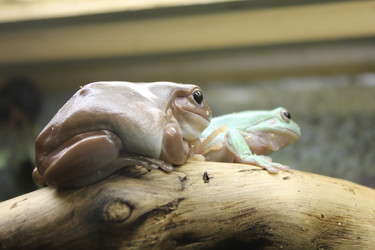 Similar image 835782