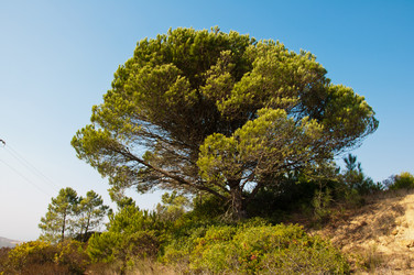 Similar image 835838