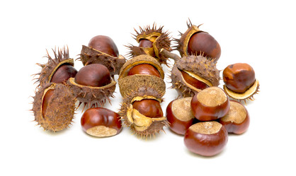 Similar image 835911