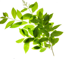 Similar image 836054