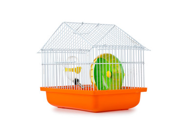 Similar image 836060