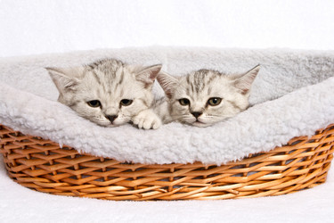 Similar image 836066