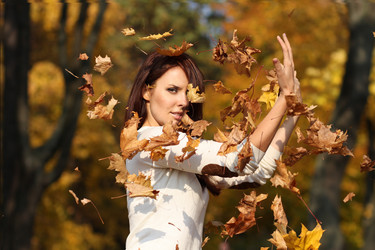 Similar image 836080