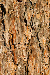 Similar image 836096