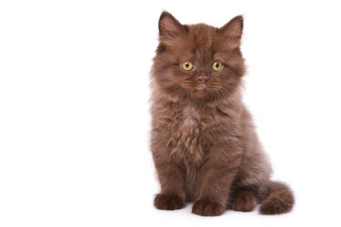 Similar image 836103