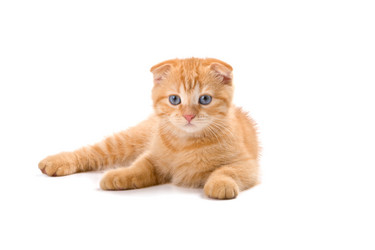 Similar image 836106