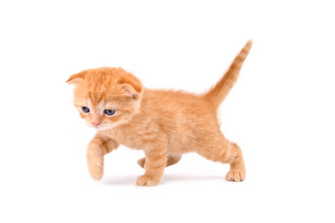 Similar image 836107