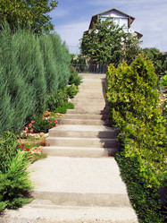 Similar image 836108