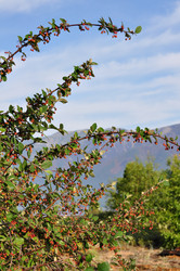Similar image 836121