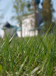 Similar image 836173