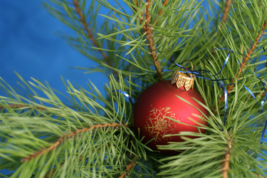 Similar image 836191