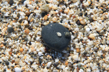 Similar image 836196