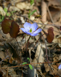 Similar image 836229