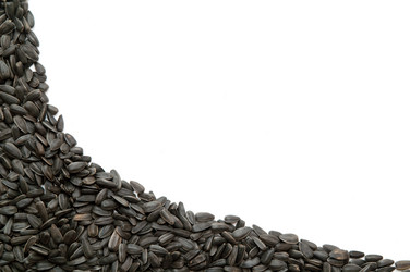 Similar image 836233