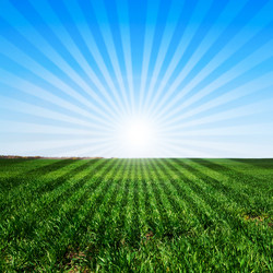 Similar image 836247