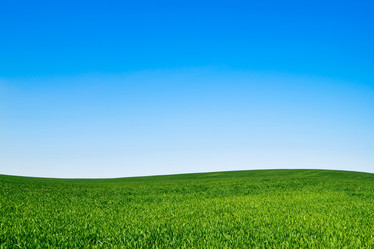 Similar image 836252