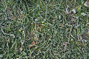 Similar image 836275