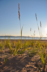 Similar image 836346