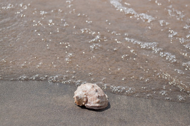 Similar image 836349