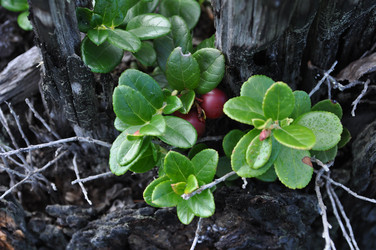 Similar image 836361