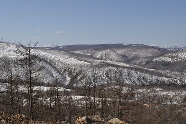 Similar image 836369