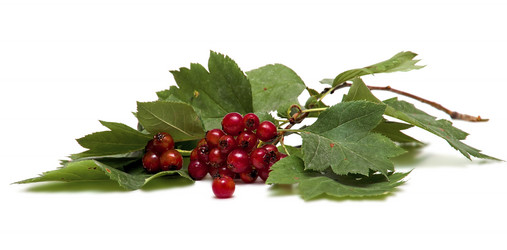 Similar image 836381