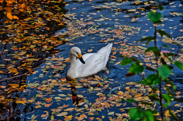 Similar image 836431