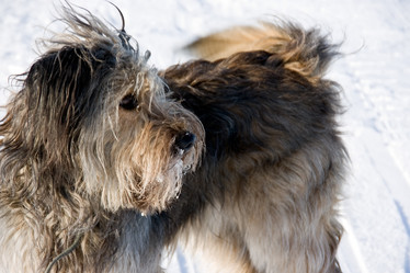 Similar image 836503