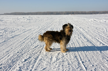 Similar image 836510