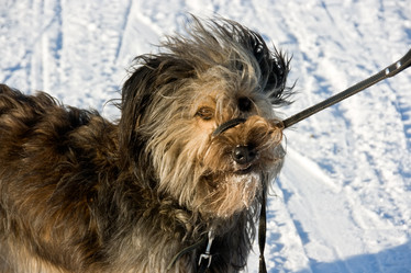 Similar image 836511