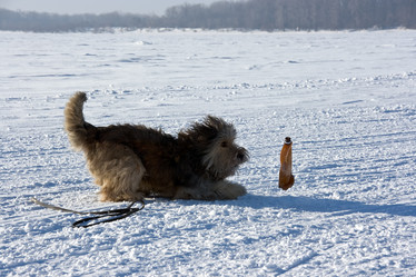 Similar image 836517