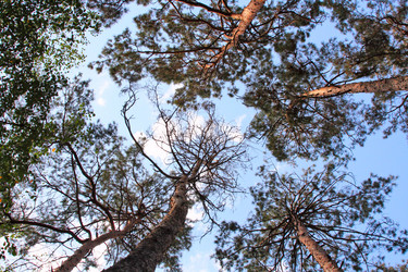 Similar image 836629