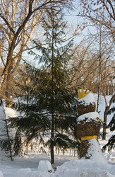 Similar image 836634