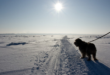 Similar image 836640