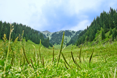 Similar image 836652