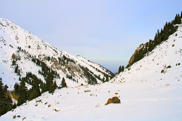 Similar image 836655