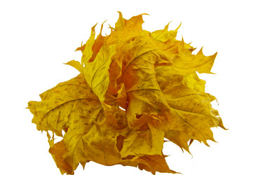 Similar image 836662