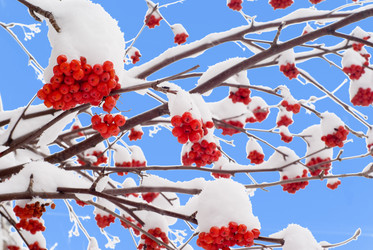 Similar image 836788