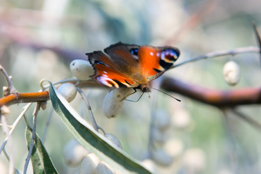 Similar image 836817