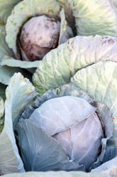 Similar image 836821