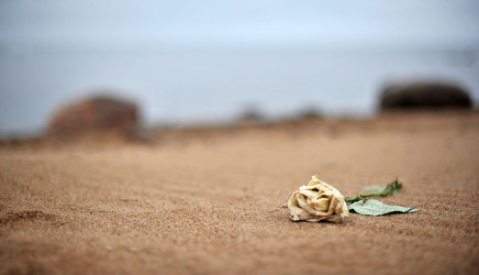 Similar image 836870