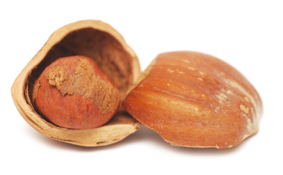 Similar image 836909