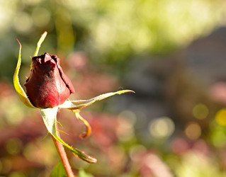 Similar image 836917