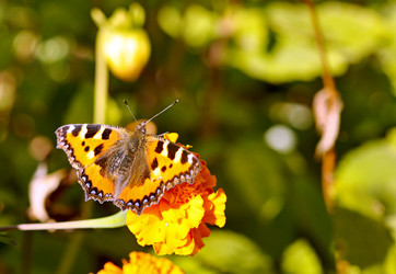 Similar image 836920