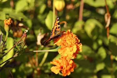 Similar image 836921