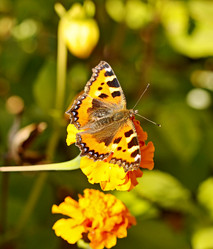 Similar image 836922