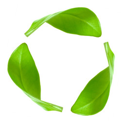 Similar image 836960