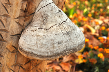 Similar image 836968