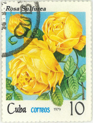 Similar image 837007